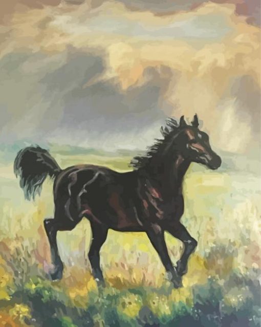 Black Alone Horse Art Diamond Painting