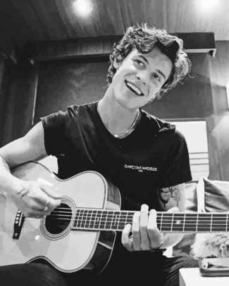 Black And White Shawn Mendes Playing Guitar Diamond Painting