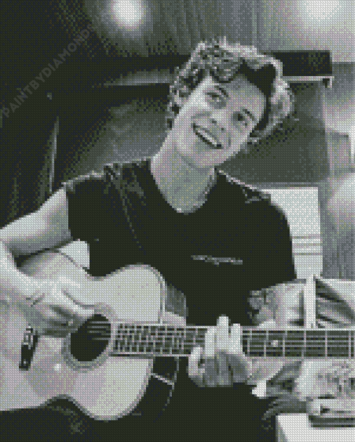 Black And White Shawn Mendes Playing Guitar Diamond Painting