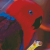 Eclectus Parrot Head Diamond Painting