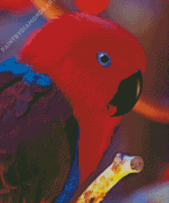 Eclectus Parrot Head Diamond Painting