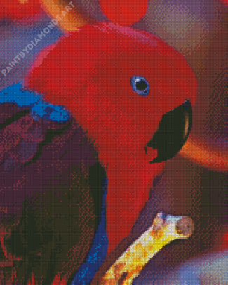Eclectus Parrot Head Diamond Painting