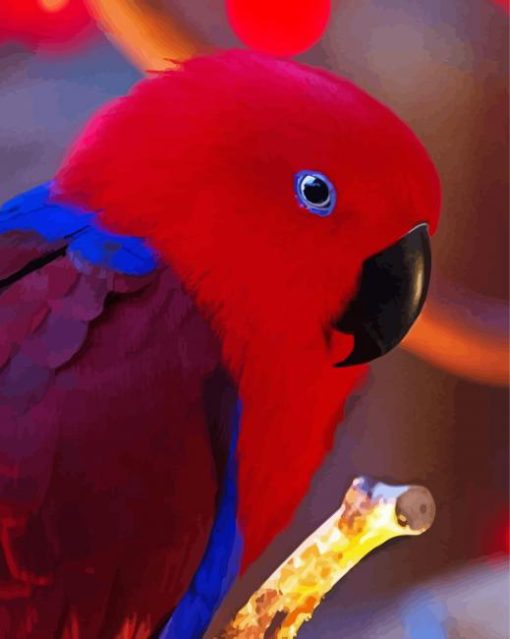 Eclectus Parrot Head Diamond Painting