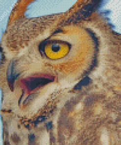 Fierce Owl Bird Diamond Painting