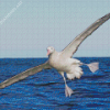 Flying Albatross Bird Diamond Painting