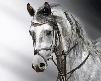 Grey Mare Horse Diamond Painting
