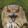 Mad Owl Bird Portrait Diamond Painting