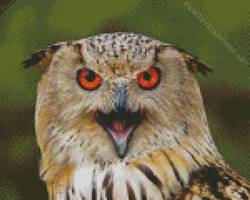 Mad Owl Bird Portrait Diamond Painting