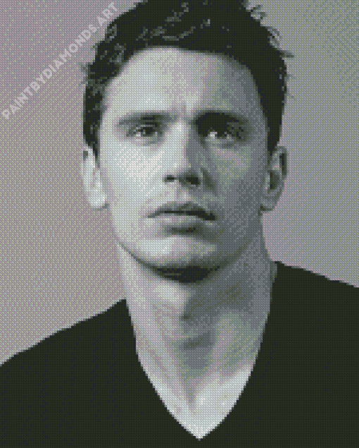 Monochrome James Franco Diamond Painting