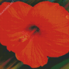 Orange Hibiscus Flower Art Diamond Painting