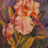 Pink Iris Flower Art Diamond Painting