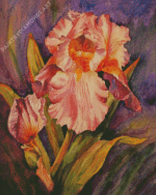 Pink Iris Flower Art Diamond Painting