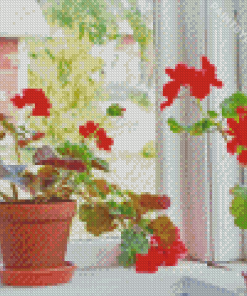 Red Flowering Window Plants Diamond Painting
