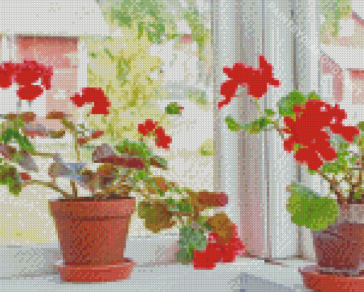 Red Flowering Window Plants Diamond Painting