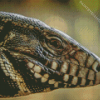 Tegu Lizard Head Diamond Painting