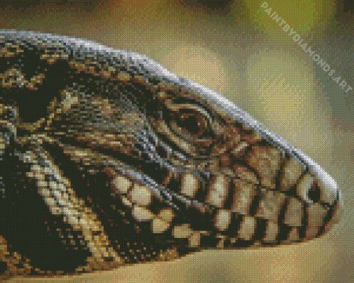 Tegu Lizard Head Diamond Painting