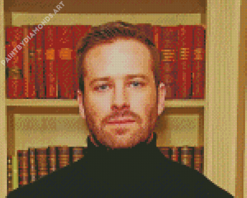 The Actor Armie Hammer Diamond Painting