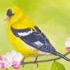 Yellow Finch Bird Art Diamond Painting