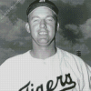 Al Kaline Baseball Player Diamond painting