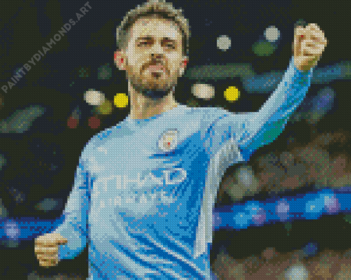 Bernardo Silva Diamond Painting