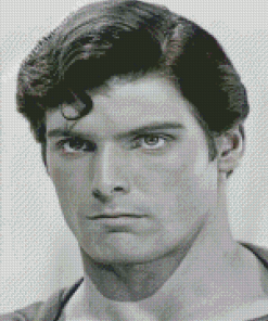 Black And White Christopher Reeves Diamond Painting