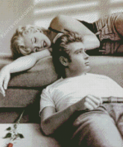 Black And White Marilyn And Dean Diamond Painting