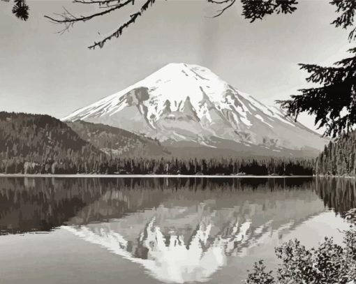 Black And White Mount St Helens Diamond Painting