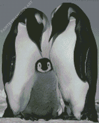 Black And White Penguins Life Diamond Painting