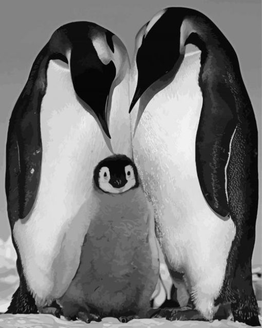 Black And White Penguins Life Diamond Painting