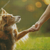 Blonde Border Collie Holding Human Hand Diamond Painting