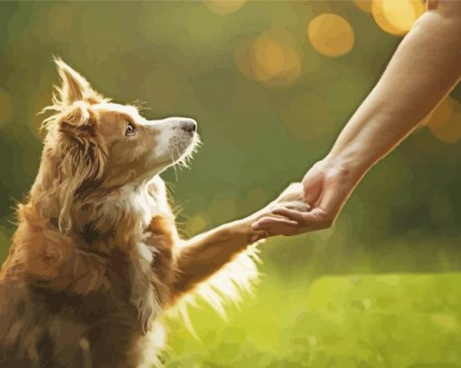 Blonde Border Collie Holding Human Hand Diamond Painting