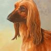 Brown Afghan Hound Diamond Painting