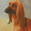 Brown Afghan Hound Diamond Painting