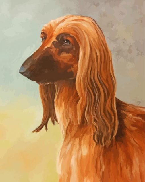 Brown Afghan Hound Diamond Painting