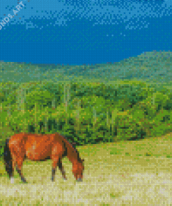 Brown Mare Horse In Nature Diamond Painting