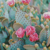 Cactus And Pink Flowers Diamond Painting