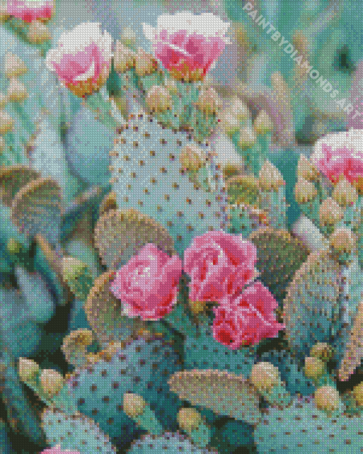 Cactus And Pink Flowers Diamond Painting