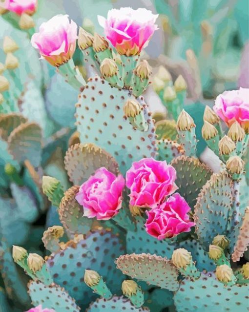 Cactus And Pink Flowers Diamond Painting