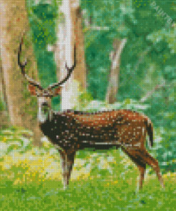 Chital Axis Deer Diamond Painting