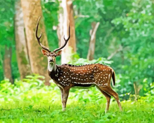 Chital Axis Deer Diamond Painting