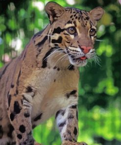 Clouded Leopard Animal Diamond Painting