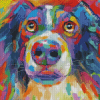 Colorful Border Collie Diamond Painting