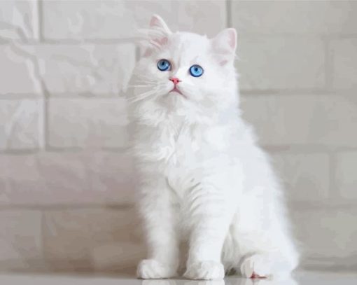 Fluffy White Cat With Blue Eyes Diamond Painting