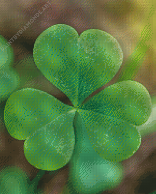 Shamrocks Plant Diamond Painting