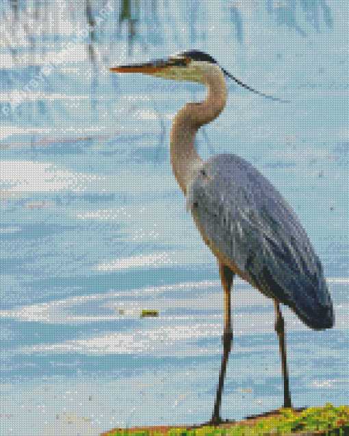 Adorable Grey Heron Diamond Painting