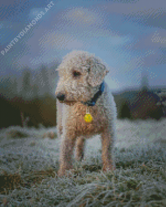 Adorable Bedlington Terrier Diamond Painting