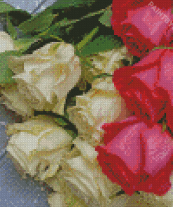 Aesthetic Pink And White Roses Diamond Painting