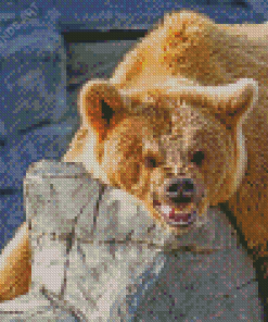 Angry Bear Animal Diamond Painting
