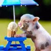 Baby Pig Eating Ice Cream Diamond Painting