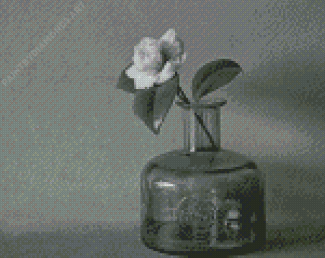 Black And White Flower In Bottle Diamond Painting